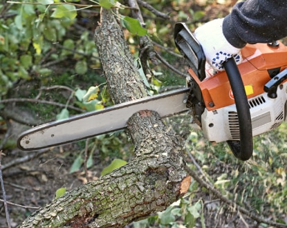 COMMERCIAL TREE SERVICES